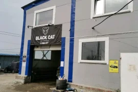 детейлинг-центр black cat фотография 2